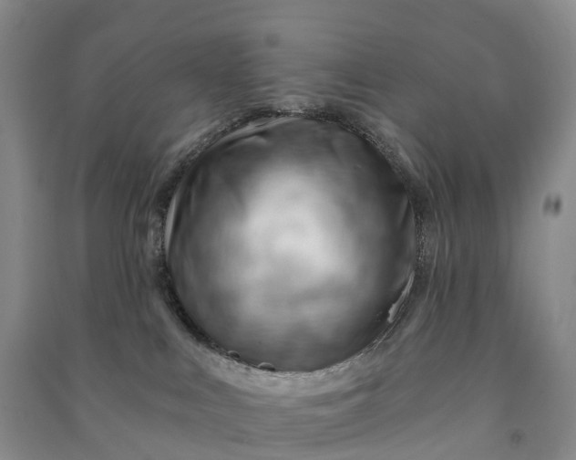 X0000090970043200708161844