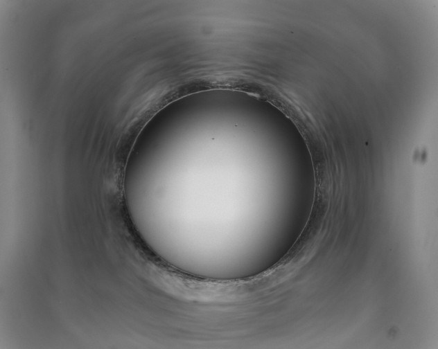 X0000090970044200708161844