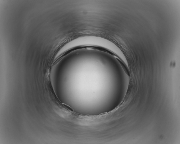 X0000090970045200708161844