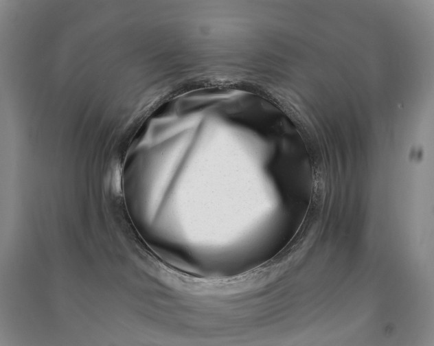 X0000090970046200708161844