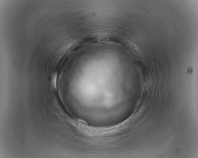 X0000090970047200708161844