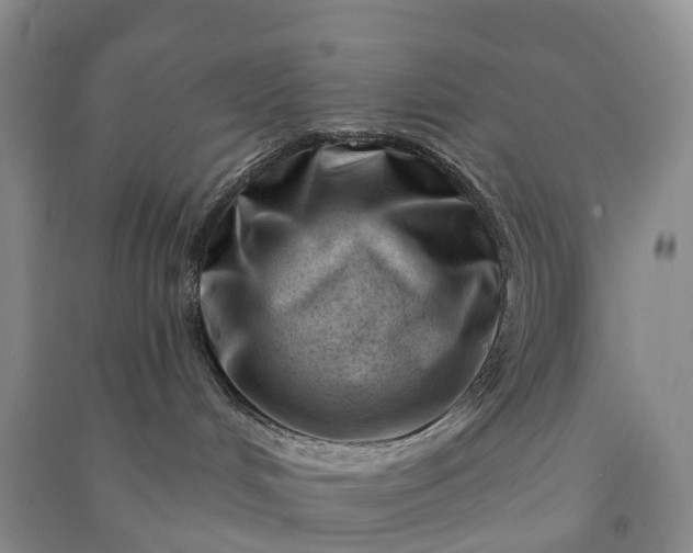 X0000090970048200708161844