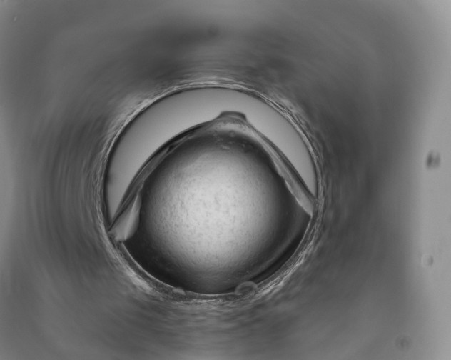 X0000090970049200708161844