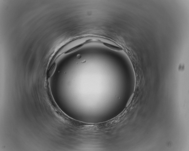 X0000090970050200708161844