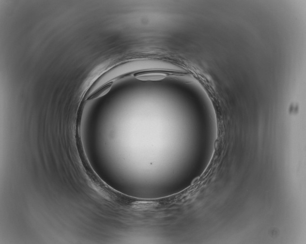 X0000090970051200708161844