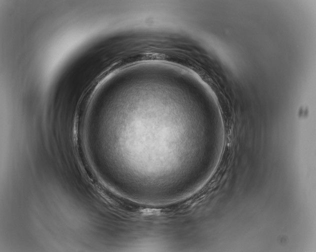 X0000090970052200708161844