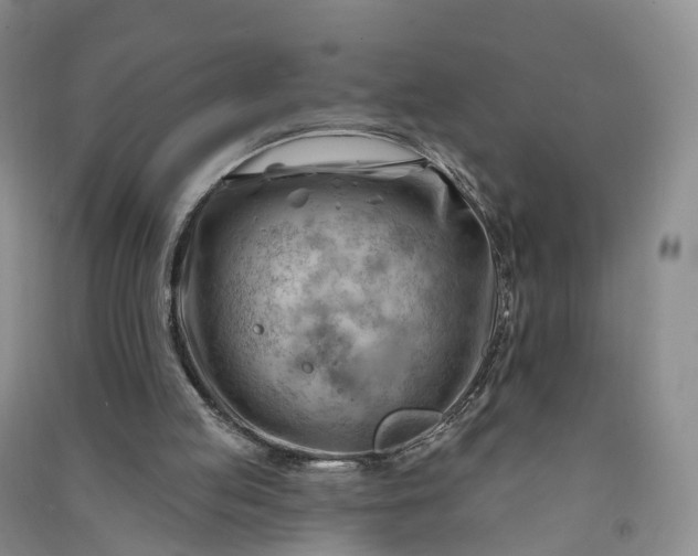 X0000090970053200708161844