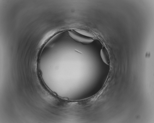 X0000090970054200708161844