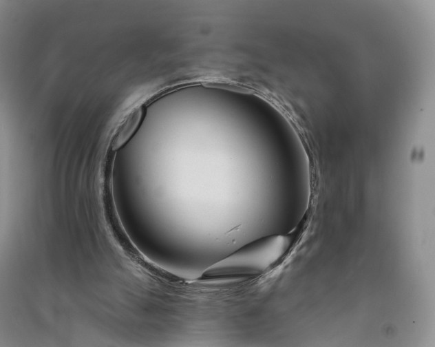 X0000090970055200708161844