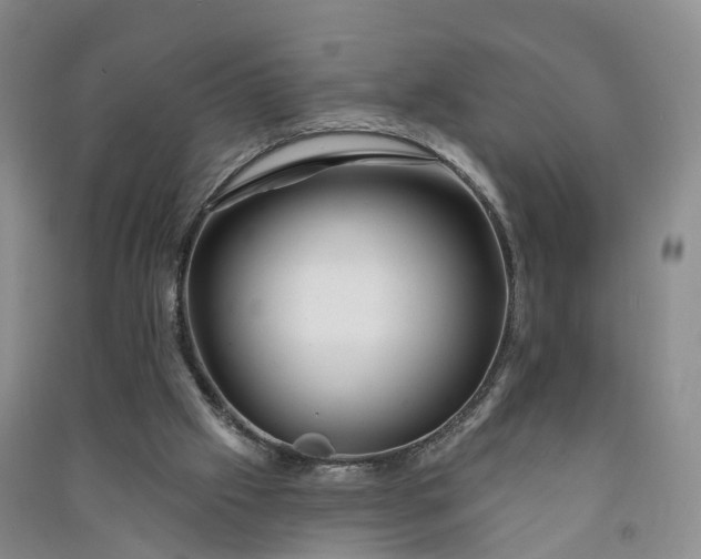 X0000090970057200708161844