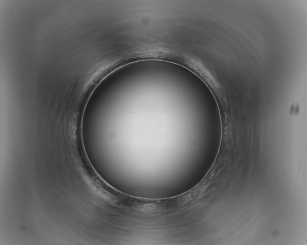 X0000090970058200708161844