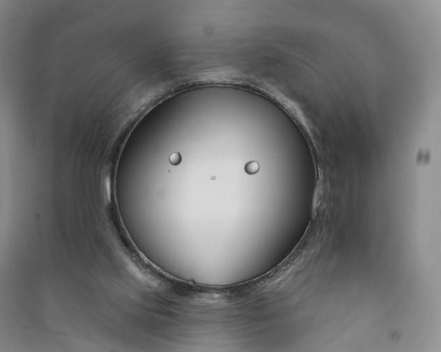 X0000090970061200708161844