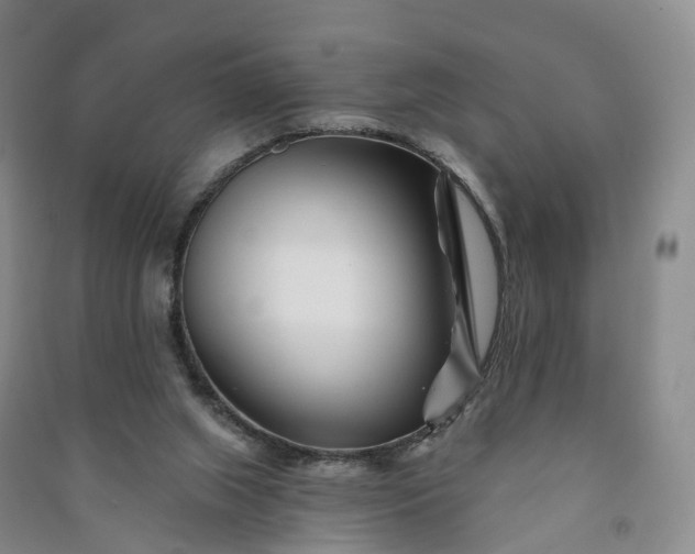 X0000090970063200708161844