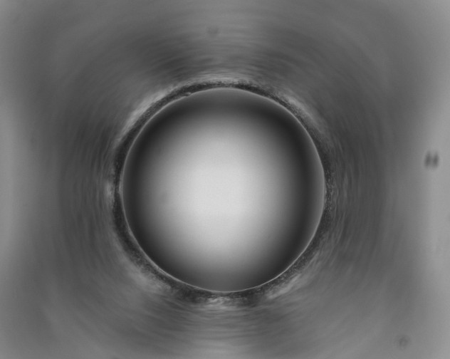 X0000090970064200708161844