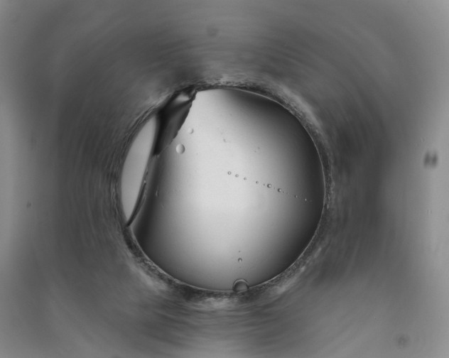 X0000090970065200708161844