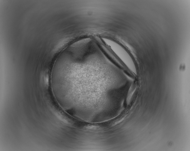 X0000090970067200708161844