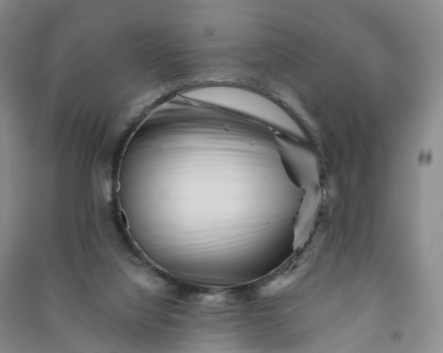 X0000090970068200708161844