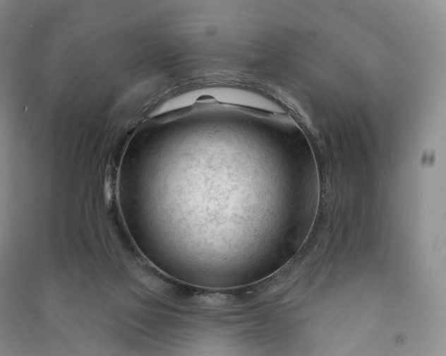 X0000090970069200708161844