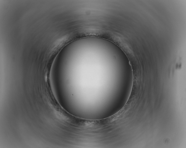 X0000090970070200708161844