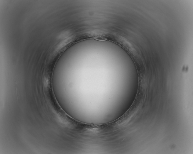 X0000090970071200708161844