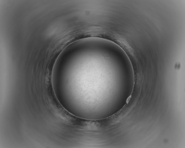 X0000090970073200708161844