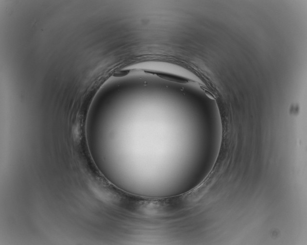 X0000090970074200708161844