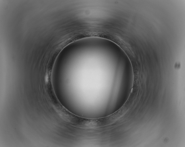 X0000090970075200708161844