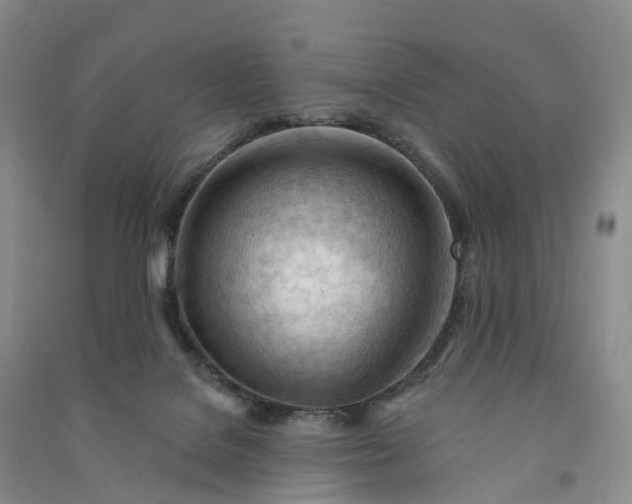 X0000090970076200708161844