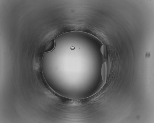 X0000090970077200708161844