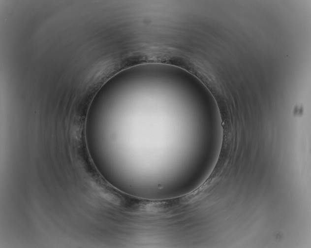 X0000090970078200708161844