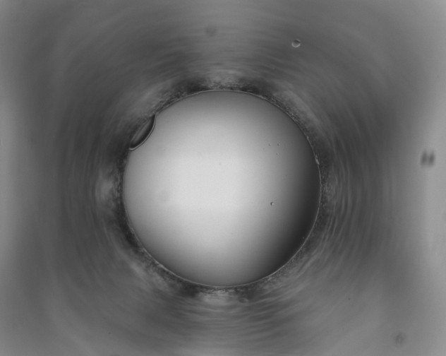 X0000090970079200708161844