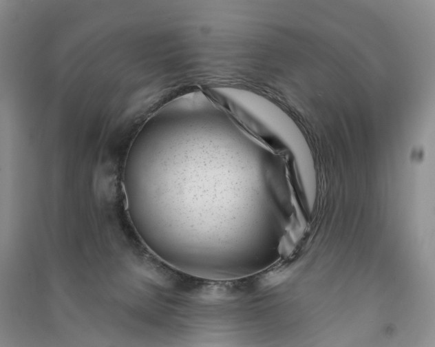 X0000090970080200708161844