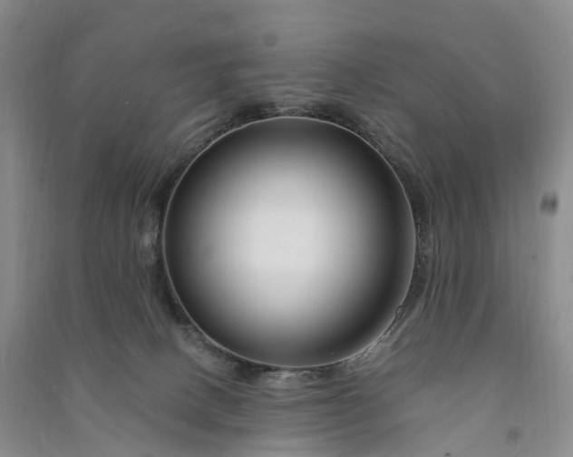 X0000090970082200708161844