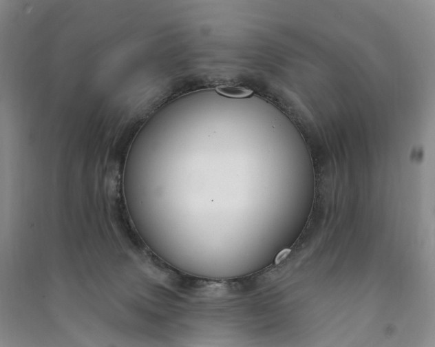 X0000090970083200708161844