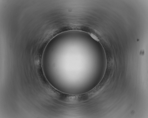 X0000090970084200708161844