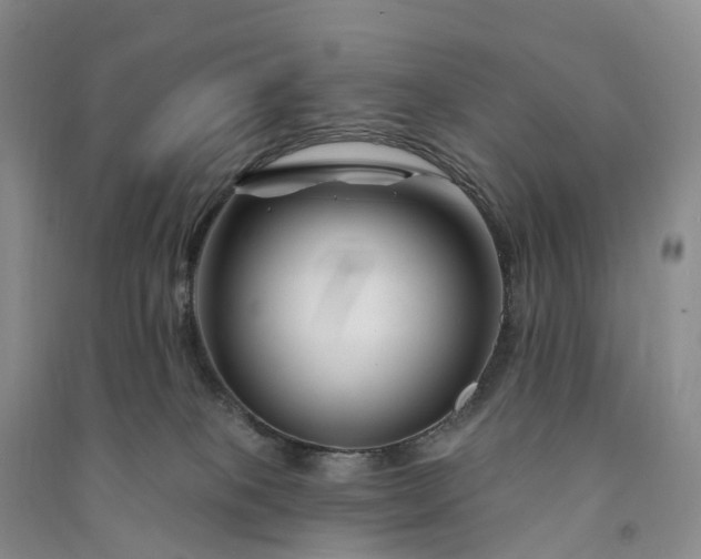 X0000090970085200708161844