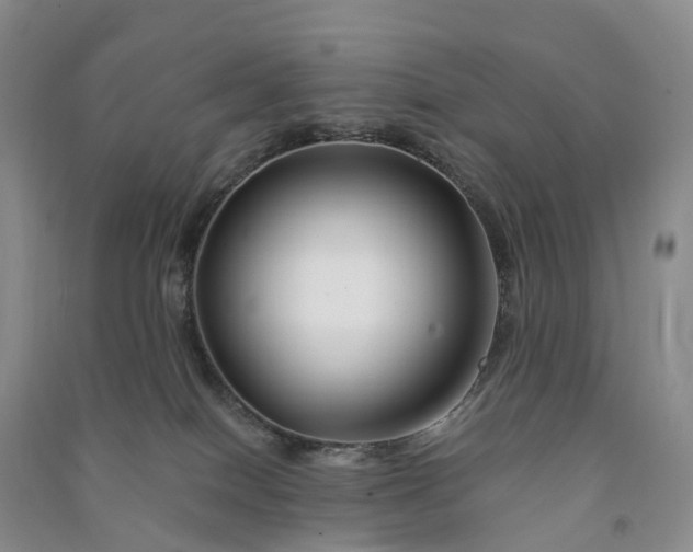 X0000090970086200708161844