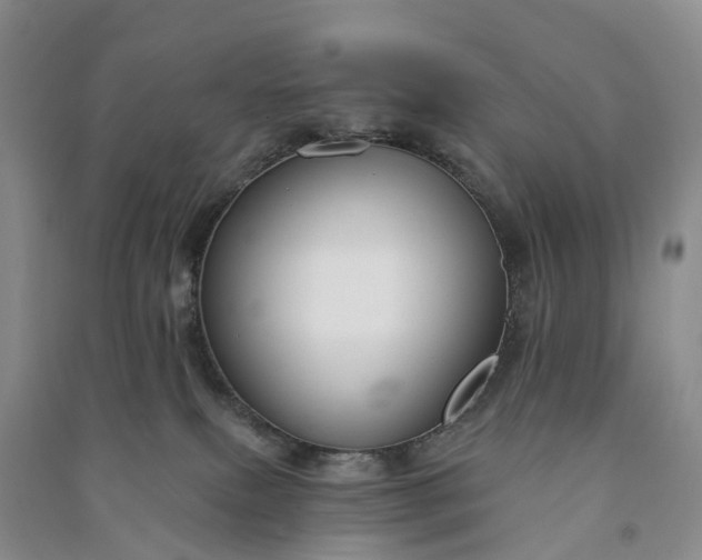 X0000090970087200708161844