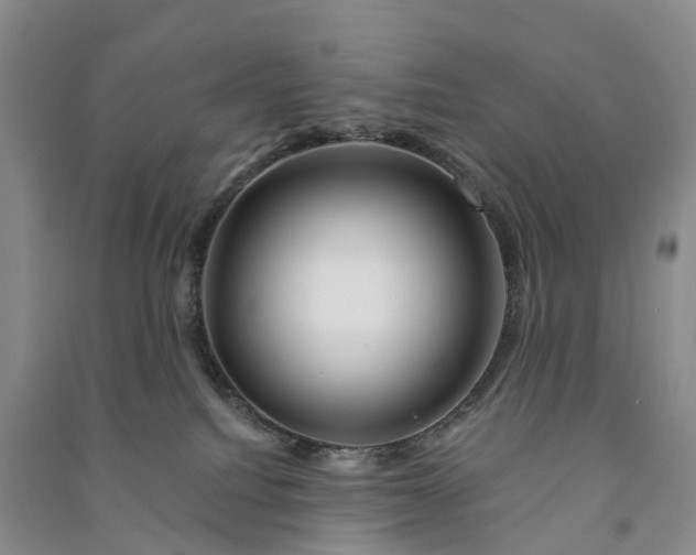 X0000090970088200708161844