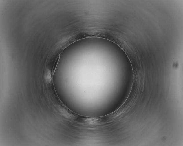 X0000090970089200708161844