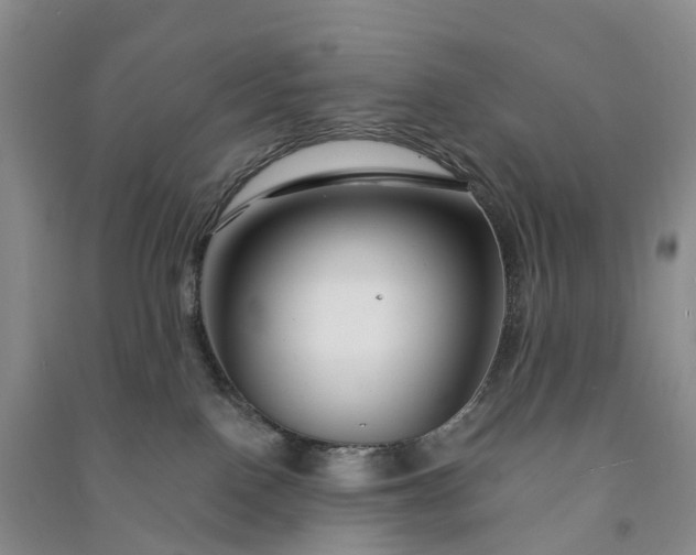 X0000090970090200708161844