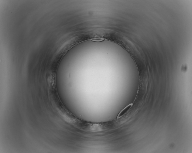 X0000090970091200708161844