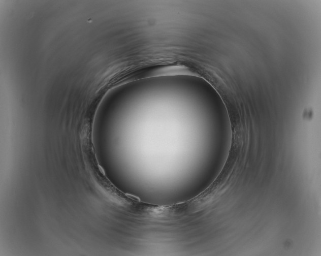 X0000090970092200708161844