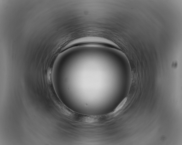 X0000090970094200708161844