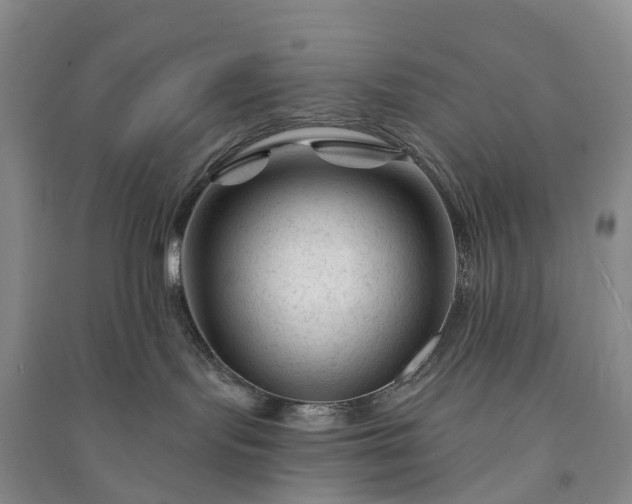 X0000090970095200708161844