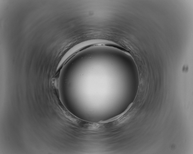 X0000090970096200708161844