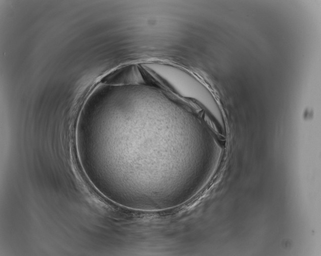 X0000090970097200708161844