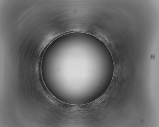 X0000090970098200708161844