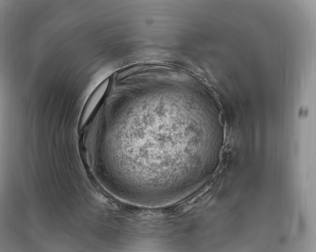 X0000090970099200708161844