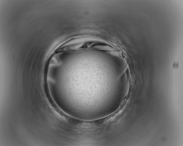 X0000090970101200708161844